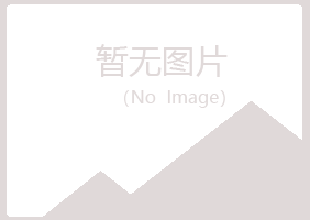 河池向彤美容有限公司